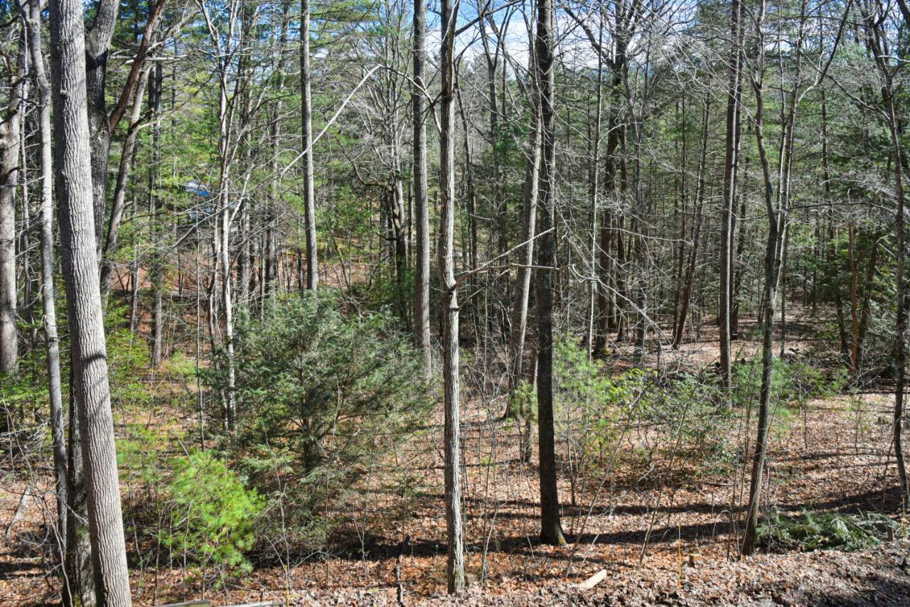 The Camby Cabin Just 12 Miles To Downtown Asheville Ngoại thất bức ảnh